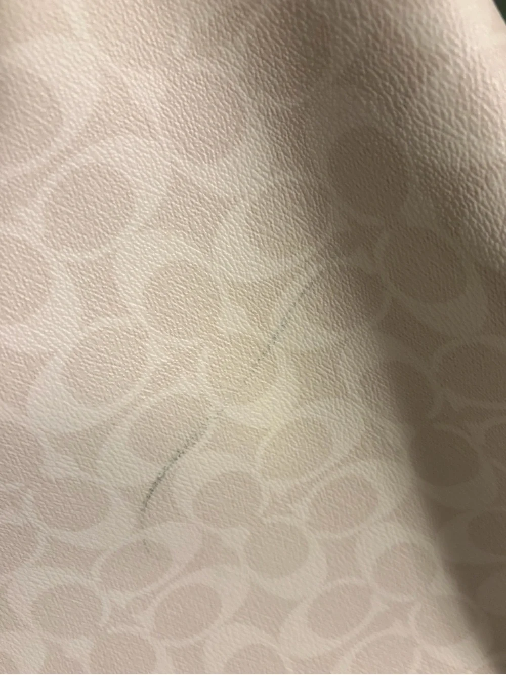 Coach Signature Tote